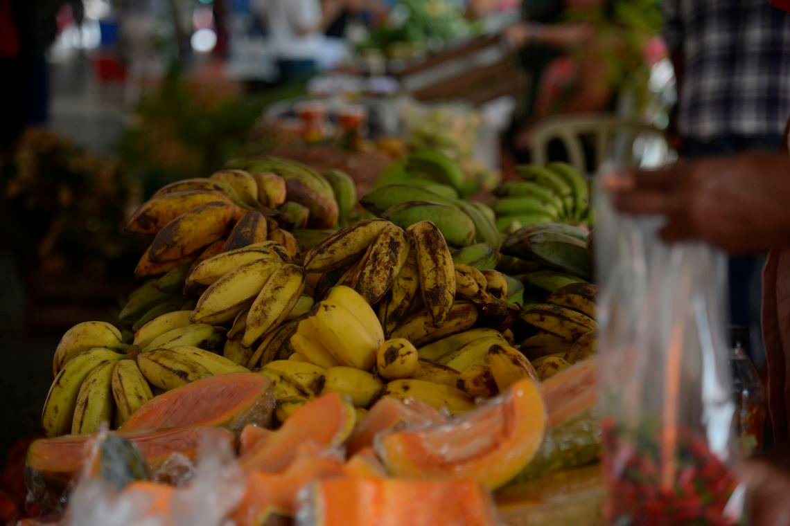 Guia Alimentar Brasileiro poderá ser adaptado para outros países. Imagem: Tânia Rêgo/Agência Brasil