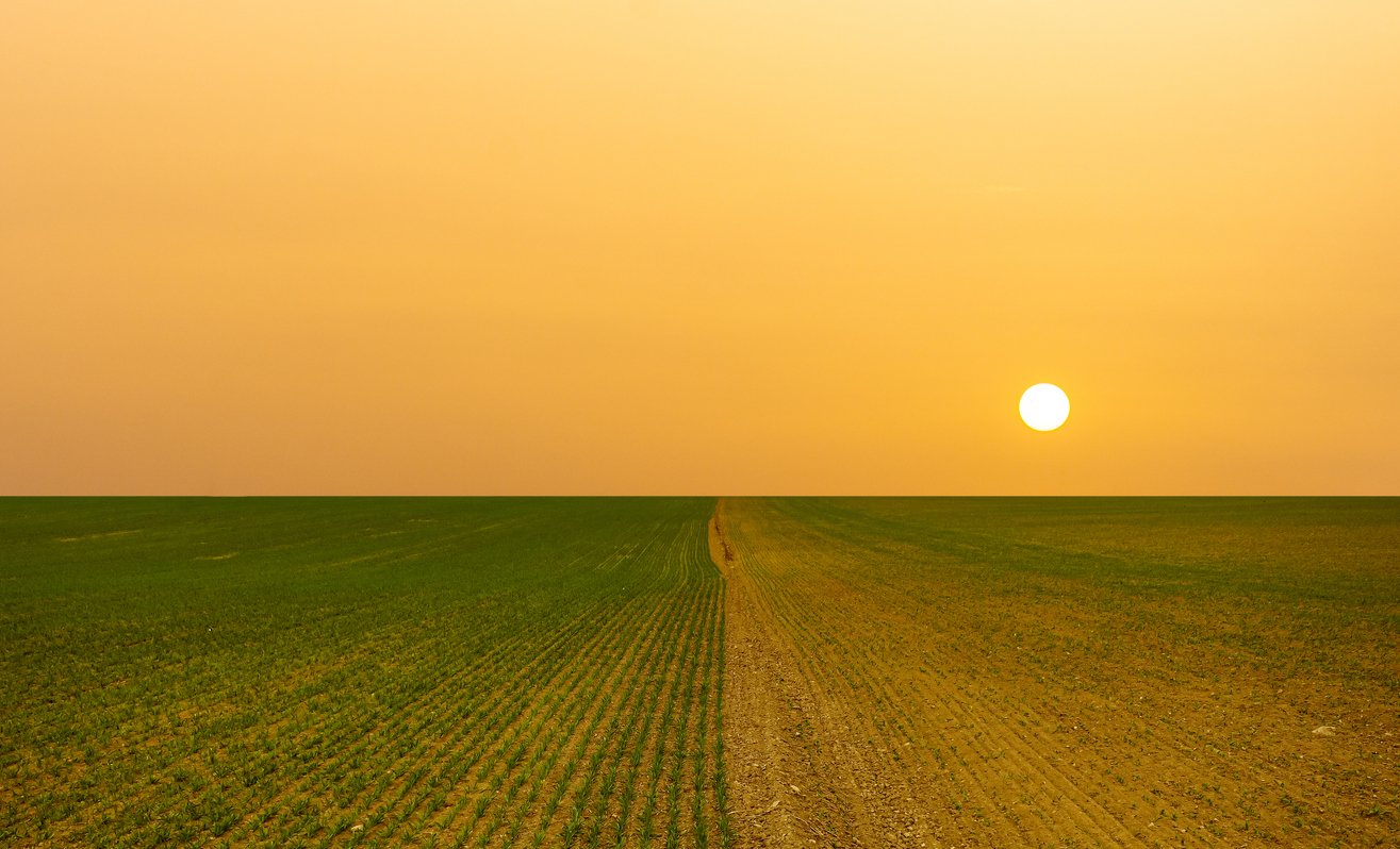 Os efeitos das mudanças climáticas na agricultura poderão gerar uma redução de quase 20% no PIB mundial. Foto: iStock